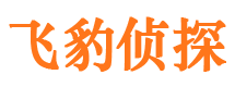 定州市调查取证